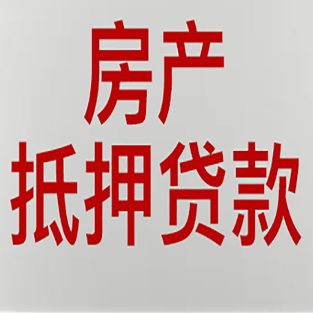 乐安助贷中介公司新渝启服如何